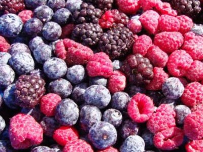 IQF Mixed Berries